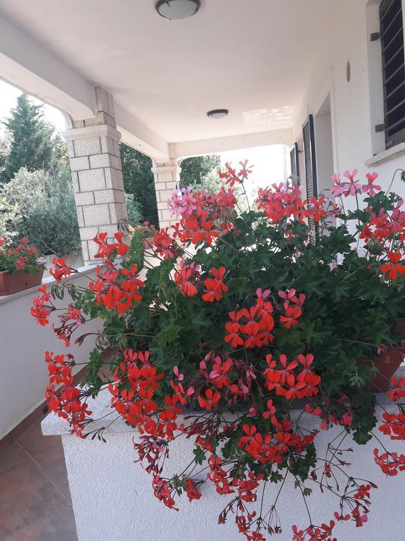 Apartments Angela Zbandaj Экстерьер фото